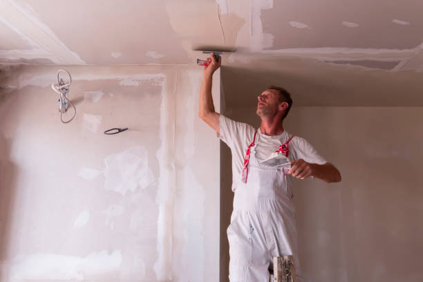 Best Water-Damaged Drywall Repair  in Smethport, PA